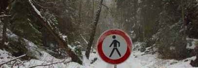 Baumsturzgefahr im Großen zschand: der untere TEil des Tals ist jetzt gesperrt