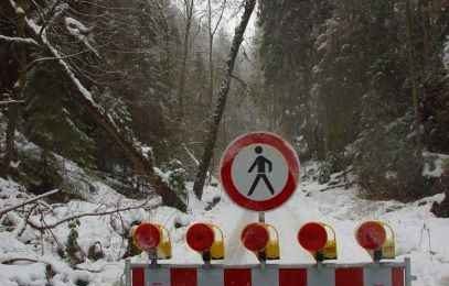 Baumsturzgefahr im Großen zschand: der untere TEil des Tals ist jetzt gesperrt