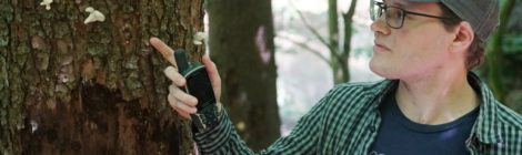 So geht es weiter mit den Wanderwegen im Nationalpark