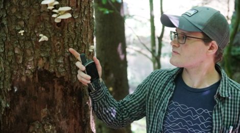 So geht es weiter mit den Wanderwegen im Nationalpark