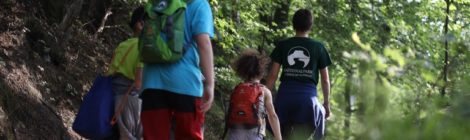 Spielerisch im Nationalpark unterwegs