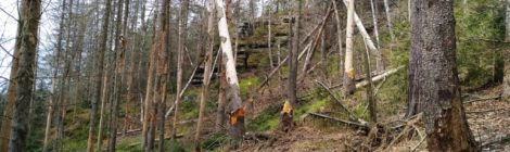 Die AG Wege hat weitere Maßnahmen für die Offenhaltung der Wege in der Nationalparkregion festgelegt