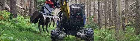Foto: Ulf Zimmermann Dank des relativ kompakten Spezialbaggers mit Greifer und Sägeaggregat, konnten auch auf schmalen Abschnitten des Malerwegs und anderenorts Wanderwegen umgebrochene Bäume entfernt werden. Die wichtigste Besonderheit für diesen Einsatz ist die extrem geschützte Kabine, die den Fahrer auch dann schützt, wenn eine ausgewachsen Fichte darauf fällt. Die extrem hohe Baumbruchgefahr ist der Grund, warum Waldarbeiter hier nicht freischneiden können.