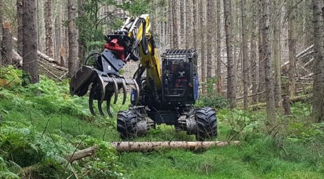 Foto: Ulf Zimmermann Dank des relativ kompakten Spezialbaggers mit Greifer und Sägeaggregat, konnten auch auf schmalen Abschnitten des Malerwegs und anderenorts Wanderwegen umgebrochene Bäume entfernt werden. Die wichtigste Besonderheit für diesen Einsatz ist die extrem geschützte Kabine, die den Fahrer auch dann schützt, wenn eine ausgewachsen Fichte darauf fällt. Die extrem hohe Baumbruchgefahr ist der Grund, warum Waldarbeiter hier nicht freischneiden können.