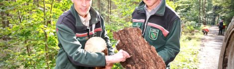 Nationalpark steht für Einklang von Schutz und nachhaltigem Naturerlebnis