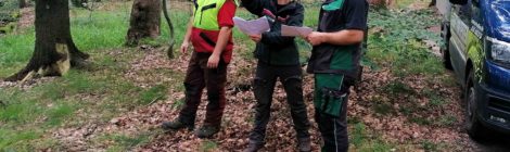 Foto: Archiv Nationalparkverwaltung Verkehrssicherungsfragen entlang von Rettungswegen zählen zu den wichtigen Aufgaben der neuen Leiterin des Nationalparkreviers Schmilka Catja Geyer. Hier spricht sie mit einer Spezialfirma am Reitsteig die Einzelheiten einer bevorstehenden Maßnahme ab. Parallel hierzu ist sie die neue Leiterin der Nationalparkwacht.