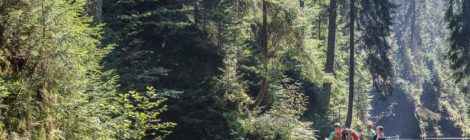 Umweltminister sind sich einig: Das Naturerlebnis der Kahnfahrt auf der Oberen Schleuse soll auch weiterhin möglich sein.