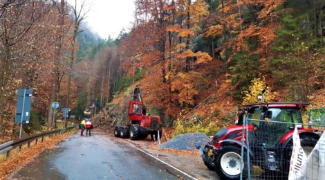 Foto H. Rößler Schon jetzt an die Verkehrssicherheit in der nächste Saison denken: im Kirnitzschtal am Steilhang unterhalb der Felsenmühle fällen die Spezialisten der Nationalparkverwaltung und der Maschinenstation aus Sicherheitsgründen die Fichten, die in diesem Jahr durch Borkenkäfer abgestorben sind. Dies war jetzt erforderlich, bevor die Stämme durch Pilzbefall zu instabil geworden wären. Die Umleitungsregelung musste wegen des Regens und eines Schadens am Harvester um eine Woche verlängert werden.