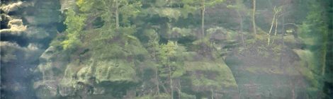 Foto: J. Scheffler Die Aussicht am Hauptwanderweg wäre genauso gut gewesen, aber diese Wanderer sind bewusst am Horstschutzzonenschild vorbei gegangen und standen dann unmittelbar über dem Brutplatz der Wanderfalken. Diese haben den Brutplatz für längere Zeit verlassen und die Brut drohte zu scheitern.