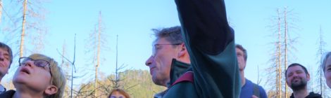 Foto: L. Erbs Wie soll es weiter gehen mit den vielen abgestorbenen Fichten im Nationalpark. Vor Ort erläutert ein Mitarbeiter der Nationalparkverwaltung die Vorgänge im Nationalpark. Damit wächst das Vertrauen in die Selbstheilungskräfte des Waldes .