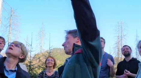 Foto: L. Erbs Wie soll es weiter gehen mit den vielen abgestorbenen Fichten im Nationalpark. Vor Ort erläutert ein Mitarbeiter der Nationalparkverwaltung die Vorgänge im Nationalpark. Damit wächst das Vertrauen in die Selbstheilungskräfte des Waldes .