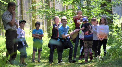 Dank spielerischer Elemente lernen die Kinder viel über den Wald.