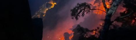 Waldbrand im Nationalpark. Ursachse noch nicht bekannt.