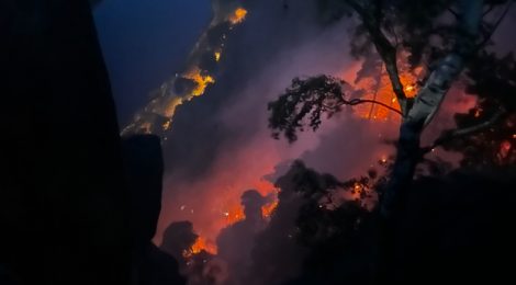 Waldbrand im Nationalpark. Ursachse noch nicht bekannt.