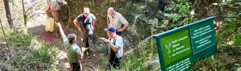 Ranger und Feuerwehren untgerstützen sich gegenseitig bei der Bekämpfung des Feuers