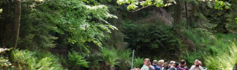 Die beliebten Kahnfahrten auf der Oberen Schleuse sind wieder möglich.