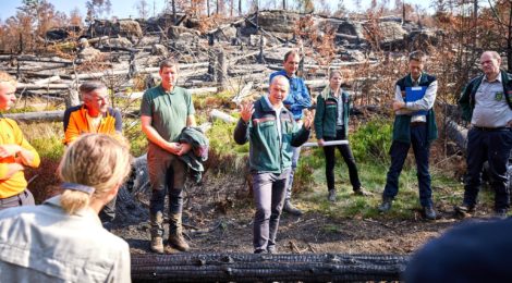 Umweltminister Wolfram Günther informiert sich im Nationalpark Sächsische Schweiz über den Zustand der vom Waldbrand betroffenen Flächen. Foto: SMEKUL / Marko Förster