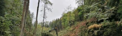 Die Arbeiten zur Verkehrssicherung an den Hängen des Tiefen Grundes sind aufgrund der extremen Hangneigung nur unter Vollsperrung der Straße realisierbar. Foto: H. Rößler