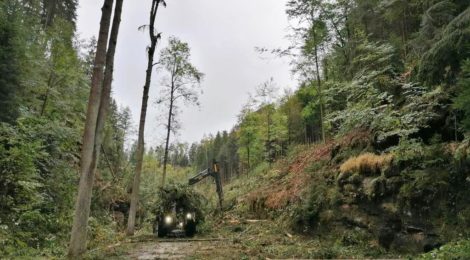 Die Arbeiten zur Verkehrssicherung an den Hängen des Tiefen Grundes sind aufgrund der extremen Hangneigung nur unter Vollsperrung der Straße realisierbar. Foto: H. Rößler