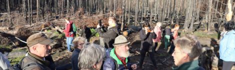 Foto: Jörg Weber, Nationalpark