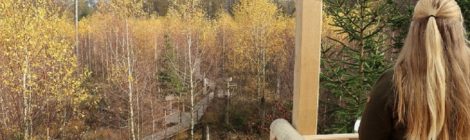 Bildunterschrift: Foto: Nadja Rademacher Der „Weg zur Wildnis“ veranschaulicht dreisprachig, mit wenig Text und vielen Bildern, die Waldentwicklung. Höhepunkt ist eine kleine Plattform, die einen Überblick über den neuen Wald und eine Selfie-Station bietet - #wegzurwildnis