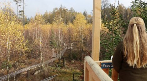 Bildunterschrift: Foto: Nadja Rademacher Der „Weg zur Wildnis“ veranschaulicht dreisprachig, mit wenig Text und vielen Bildern, die Waldentwicklung. Höhepunkt ist eine kleine Plattform, die einen Überblick über den neuen Wald und eine Selfie-Station bietet - #wegzurwildnis