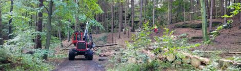 Im September begannen die Sicherungsmaßnahmen an Rettungswegen im Nationalparkrevier Lohmen, wie hier am Pionierweg. Andere Arbeitsorte waren der Amselgrund bzw. aktuell der Füllhölzelweg und Wehlgrund.