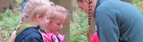 Foto: Archiv Nationalparkverwaltung Im Nationalpark Sächsische Schweiz besteht die Hauptaufgabe der Praktikant*innen in der Durchführung von altersgerechten Umweltbildungsprogrammen in freier Natur für Kinder und Jugendliche.