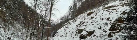 Nach Abschluss der Verkehrssicherungsarbeiten im Tiefen Grund sind sowohl die Straße als auch der Tiefe Grundbach von den abgestorbenen Fichtenstämmen befreit. Foto: H. Rößler