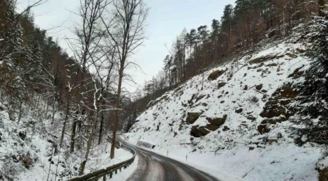 Nach Abschluss der Verkehrssicherungsarbeiten im Tiefen Grund sind sowohl die Straße als auch der Tiefe Grundbach von den abgestorbenen Fichtenstämmen befreit. Foto: H. Rößler