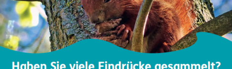 (Deutsch) Aufruf zur Teilnahme an Besucherumfragen im Nationalpark