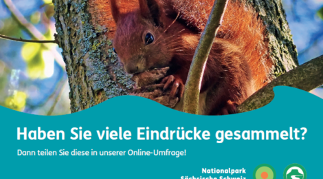 (Deutsch) Aufruf zur Teilnahme an Besucherumfragen im Nationalpark