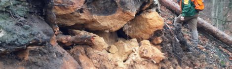 Felsblock über der Straße zum Prebischtor. Foto: Stanislav Feigl