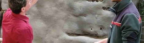 Der stellvertretende Leiter der Nationalparkverwaltung Christian Starke und der Mitarbeiter des Nationalparkzentrums Henry Reinke freuen sich über das eindrucksvolle Schwarzstorchpräparat, das rechtzeitig zur Eröffnung vor den Schulferien die Blicke in der Ausstellung auf sich zieht. Kinder bis sieben Jahren haben freien Eintritt! | Foto: Hp. Mayr