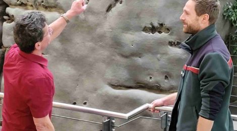 Der stellvertretende Leiter der Nationalparkverwaltung Christian Starke und der Mitarbeiter des Nationalparkzentrums Henry Reinke freuen sich über das eindrucksvolle Schwarzstorchpräparat, das rechtzeitig zur Eröffnung vor den Schulferien die Blicke in der Ausstellung auf sich zieht. Kinder bis sieben Jahren haben freien Eintritt! | Foto: Hp. Mayr