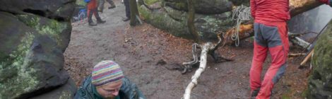 Fotos: AG Horstschutz, DAV - Lutz Zybell Die AG Horstschutz mit Teilnehmern des Deutschen Alpenvereins, des Sächsischen Bergsteigerbundes und der Nationalparkverwaltung verbaute bei ihrem Arbeitseinsatz Mitte Februar auf dem Pfaffenstein die Zugänge zu drei Felskanten abseits des Wanderwegs mit natürlichen Barrieren aus Totholz und brachte Absperrseile mit entsprechenden Hinweisschildern an.