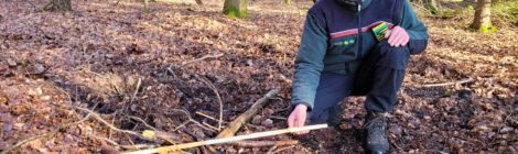 Das illegale Lagerfeuer konnte rechtzeitig gelöscht werden, bevor es zu einem Waldbrand wurde.