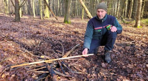 Das illegale Lagerfeuer konnte rechtzeitig gelöscht werden, bevor es zu einem Waldbrand wurde.