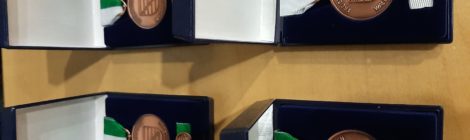 Auszeichnung für Einsatz gegen die schweren Waldbrände in Sachsen im Sommer 2022