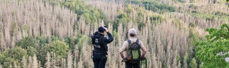 Bildunterschrift: Foto: M. Förster So wie bereits im Juli 2022 unterstützt die Polizeidirektion Dresden die Kontrollen des Feuerverbots und bis 15. Juni auch des Boofenverbots der Nationalparkwacht.