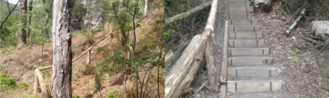 Die Spezialisten der Nationalparkverwaltung für Verkehrssicherung und Besucherlenkung haben in den letzten Wochen den Zustieg zwischen Großem und Kleinem Lorenzstein grundlegend instandgesetzt. Nun ist aus Richtung Alter Zeughausstraße/Knorre wieder ein sicherer Aufstieg möglich.