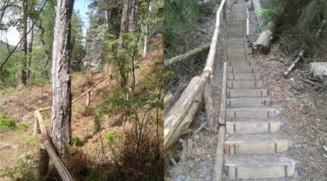 Die Spezialisten der Nationalparkverwaltung für Verkehrssicherung und Besucherlenkung haben in den letzten Wochen den Zustieg zwischen Großem und Kleinem Lorenzstein grundlegend instandgesetzt. Nun ist aus Richtung Alter Zeughausstraße/Knorre wieder ein sicherer Aufstieg möglich.