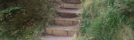 Bildunterschrift: Foto: R. Schaller Die Waldarbeiter der AG Verkehrssicherung und Besuchereinrichtung der Nationalparkverwaltung haben den schmalen Wanderpfad durch die Spitzsteinschlüchte im Nationalpark wieder instandgesetzt. Nun sind Touren wieder möglich, die von der Neumannmühle aus direkt die Lorenzsteine passieren und weiter über die Knorre in den Nationalpark, beispielsweise zum Hinteren Raubschloss führen