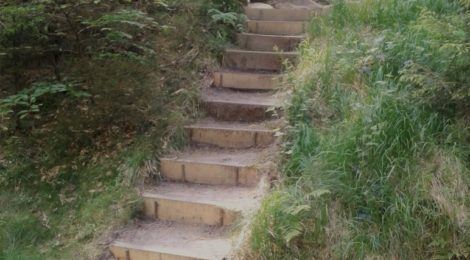 Bildunterschrift: Foto: R. Schaller Die Waldarbeiter der AG Verkehrssicherung und Besuchereinrichtung der Nationalparkverwaltung haben den schmalen Wanderpfad durch die Spitzsteinschlüchte im Nationalpark wieder instandgesetzt. Nun sind Touren wieder möglich, die von der Neumannmühle aus direkt die Lorenzsteine passieren und weiter über die Knorre in den Nationalpark, beispielsweise zum Hinteren Raubschloss führen