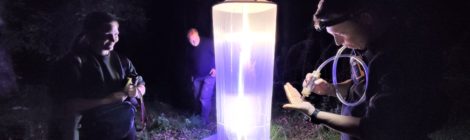 Insektenkundler locken mit einer Lichtfalle nachts aktive Käfer an und können diese dann bestimmen.