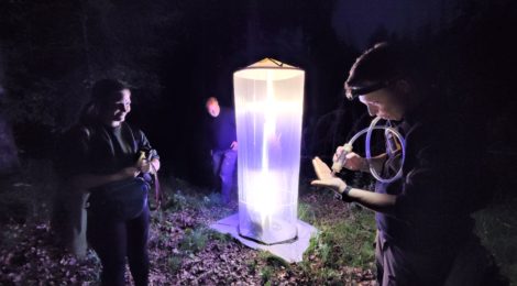 Insektenkundler locken mit einer Lichtfalle nachts aktive Käfer an und können diese dann bestimmen.