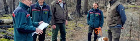 Foto: Ch. Tscheuschner Der Vorsitzende des Jagdverbandes Sächsische Schweiz e. V. Stefan Große (l) und sein Stellvertreter Jörg Honolka (m) freuten sich über die frühzeitige Gelegenheit für einen Erfahrungsaustausch mit Uwe Borrmeister (2.v.l) auch in seiner neuen Funktion als Nationalparkleiter. Auf den Waldbrandflächen im Nationalpark diskutierten sie mit Sascha Schlehahn (2. v. r.) und Hanspeter Mayr zum großen Potential der Waldentwicklung und den Einfluss des Wildes.