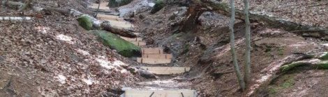 Foto: H. Rößler Weit überwiegend in Handarbeit ersetzten Mitarbeiter der Nationalparkverwaltung Sächsische Schweiz und beauftragter Firmen im ersten Halbjahr 2023 über 760 verwitterte oder abgetretene Stufen auf den vielbegangenen Wanderwegen, über 200 davon allein im Steilhang des Lehnsteigs.