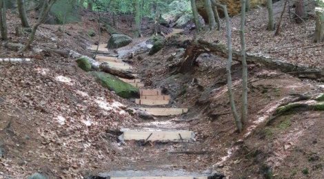 Foto: H. Rößler Weit überwiegend in Handarbeit ersetzten Mitarbeiter der Nationalparkverwaltung Sächsische Schweiz und beauftragter Firmen im ersten Halbjahr 2023 über 760 verwitterte oder abgetretene Stufen auf den vielbegangenen Wanderwegen, über 200 davon allein im Steilhang des Lehnsteigs.