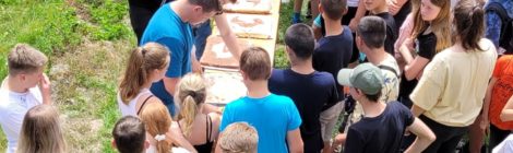 (Deutsch) Hochsaison im Klassenzimmer Natur: Im ersten Halbjahr besuchen über 3200 Schülerinnen und Schüler die Umweltbildungsprogramme des Nationalpark Sächsische Schweiz